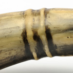 detail view of ear trumpet